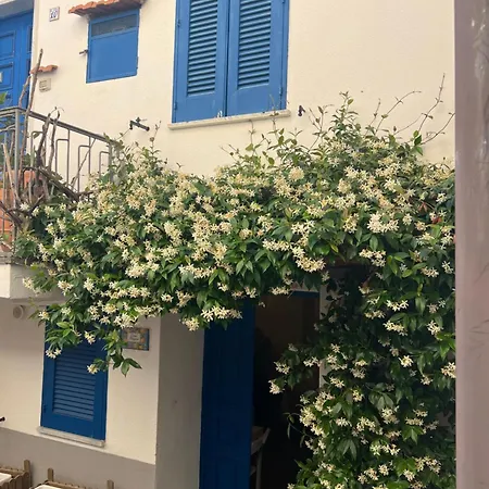 Casa Magica Ogliastro Apartamento